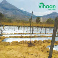 30 Micron Agro Mulching Film
