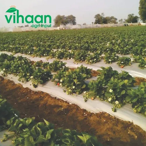 Vihaan Agri Mulching