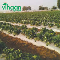 Vihaan Agri Mulching