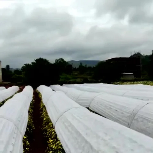 Tomato Crop Cover