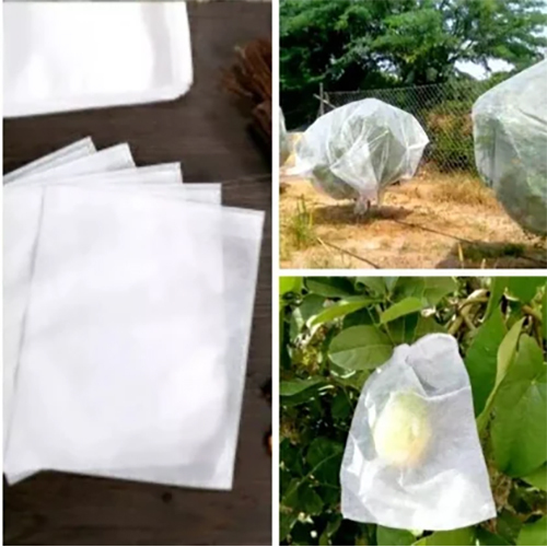 Mango - Custard - Guava Non woven Fruit Cover