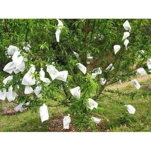 All Fruit Protection Bag - Cover