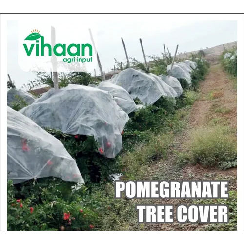 White Pomegranate Tree Cover