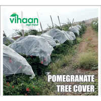 Pomegranate Tree Cover