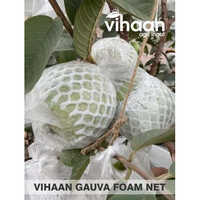 Guava Foam Net