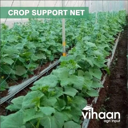 Crop Support Net