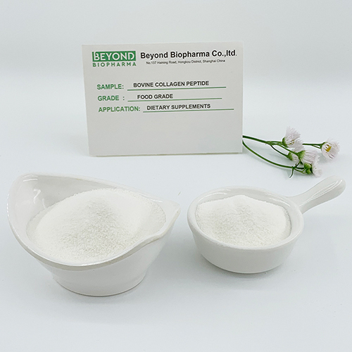 Powdered Bovine Collagen Type II Promotes Chondrocyte Regeneration