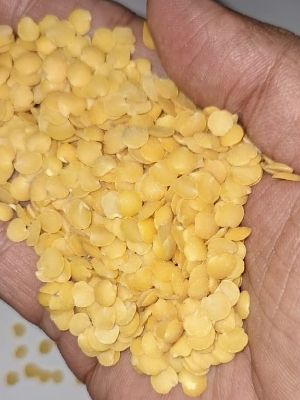 Yellow Moong Dal Crop Year: 2023 Years