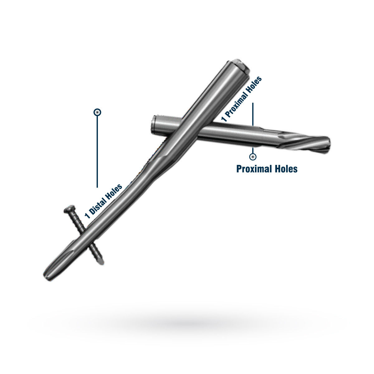 Intramedullary Nail System