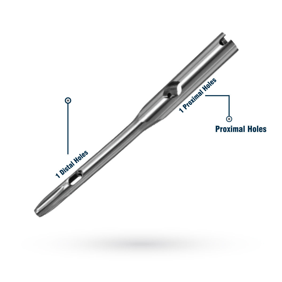 Intramedullary Nail System