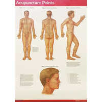 Acupuncture Points Chart