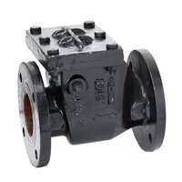 Reflux Valve - Cast Iron, Flange End Pn-1.0, Black Finish, Welding Connection, Automatic Flow Control