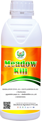 DEV - MEADOW KILL