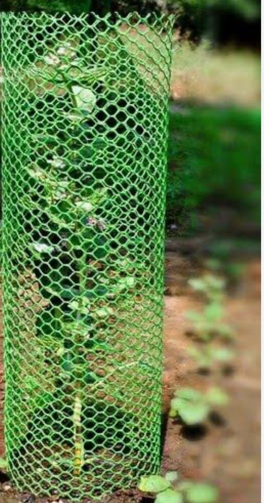 Tree Guard Jali