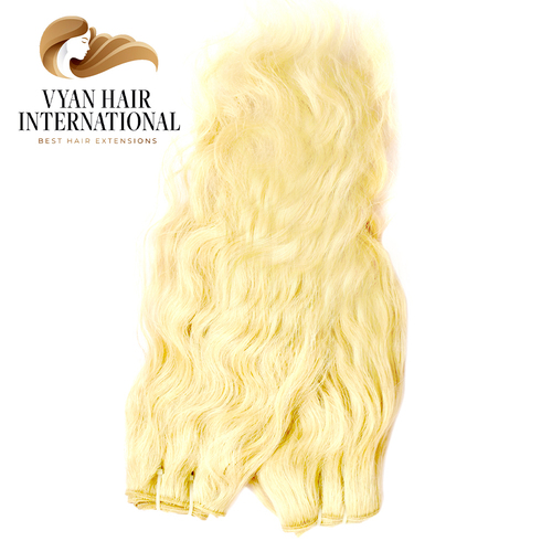 Cuticle Aligned Raw 613 Virgin Hair Brazilian Human Weave Bundle