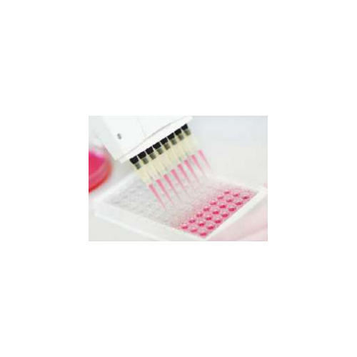 Elisa Plates at Best Price, Elisa Plates Supplier in Bengaluru