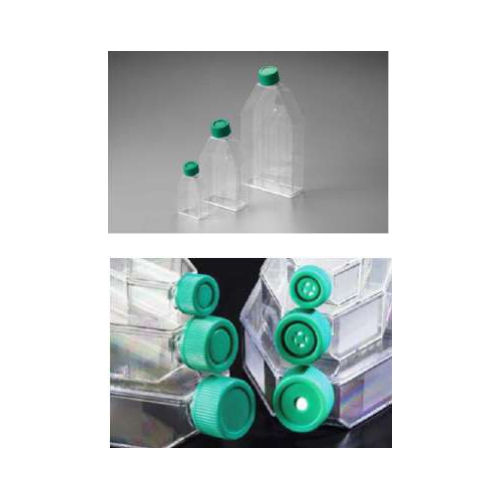 Cell Culture Flasks