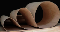 gurjan Flexible plywood