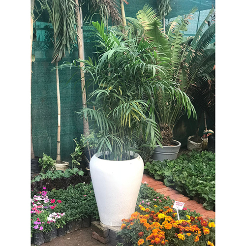 Fiber Apple Planters