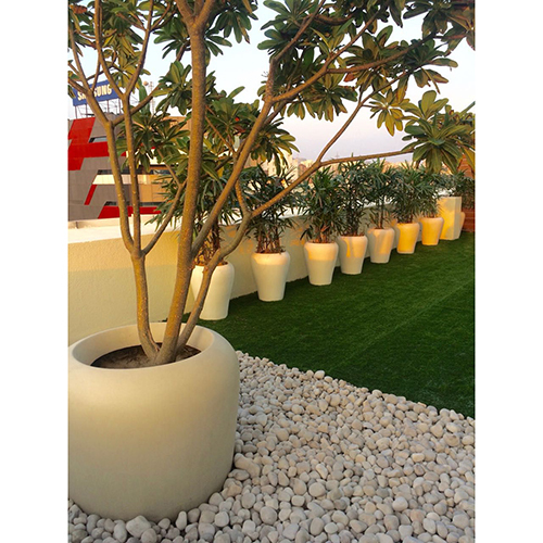 Apple Planter