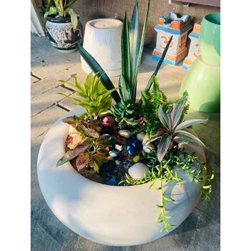 Fiber Bonsai Tray 8