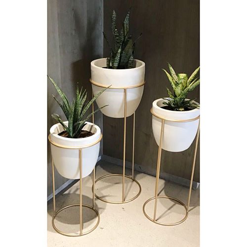 Fiber Cup Planter