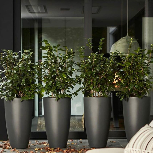 Fiber Glass Flower Planter