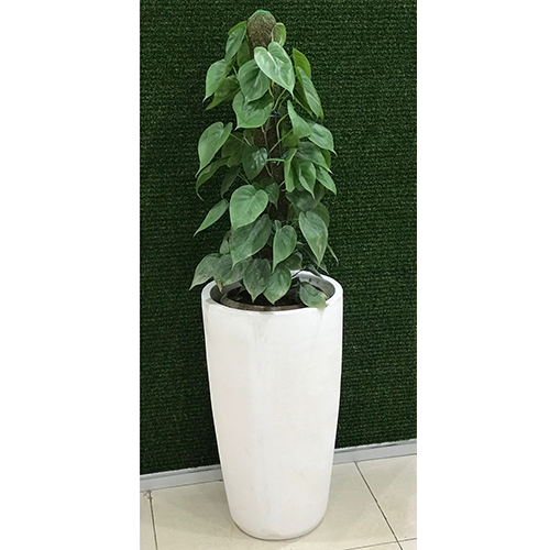 Glass Planter