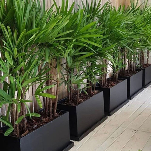 Rectangle Fiber Indoor Planter