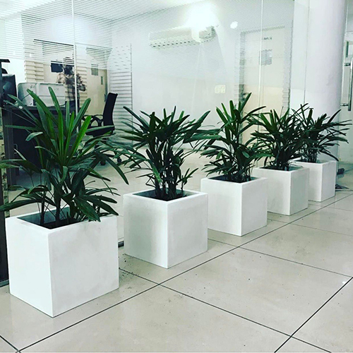 Fiber Square Planters