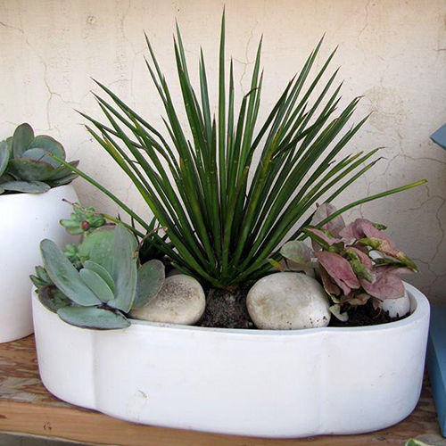 White Fiber Table Top Planters