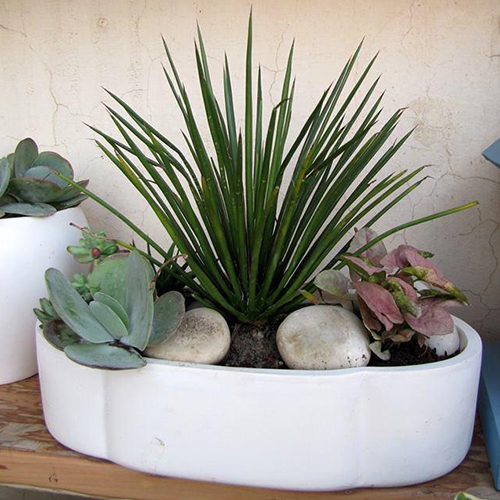 Fiber Table Top Planters