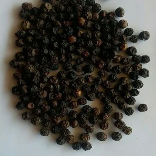 Bold Black Pepper Seeds