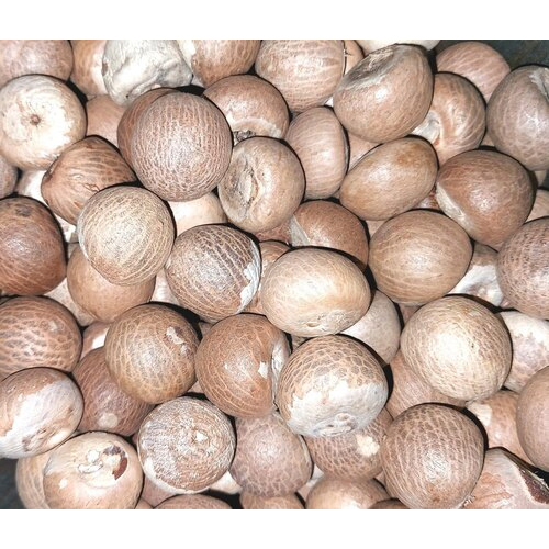 Brown Whole Areca Nut