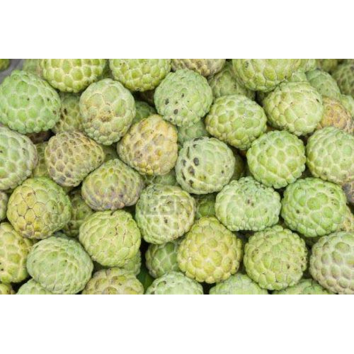 Fresh Custard Apple