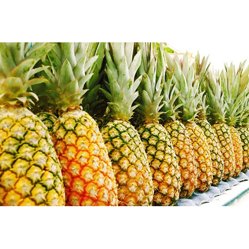 Fresh Pineapple