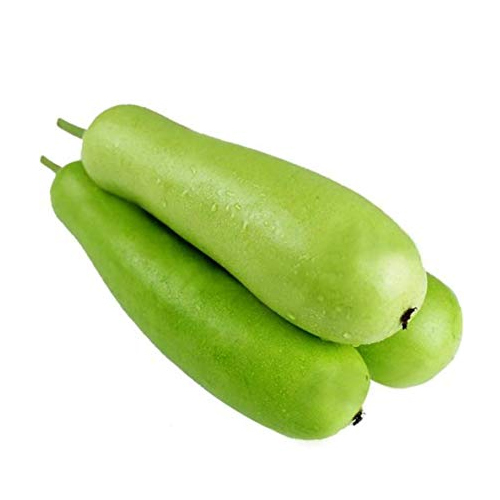 Elongate Fresh Bottle Gourd