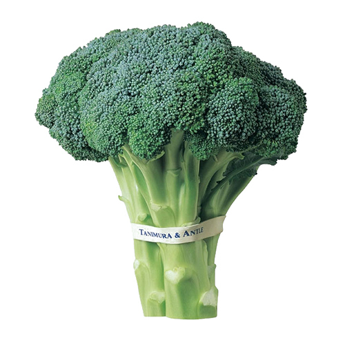 Irregular Fresh Broccoli