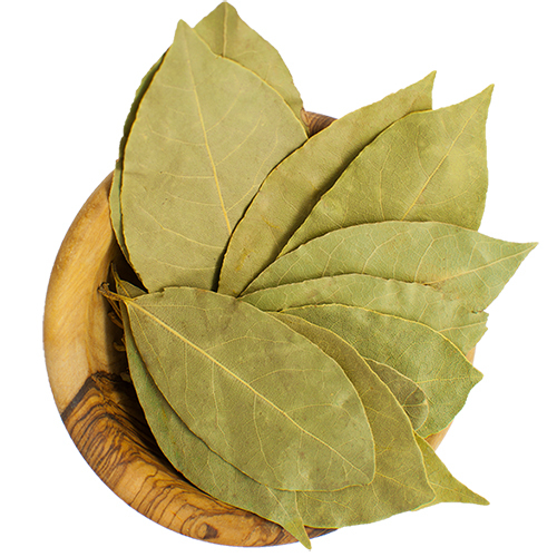 Bay Leaf