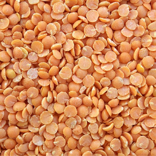 Red Lentils