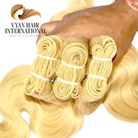 Virgin Brazilian Remy Human Hair Bundle Raw Cuticle Aligned 613 Hair Extetensions
