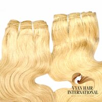 Virgin Brazilian Remy Human Hair Bundle Raw Cuticle Aligned 613 Hair Extetensions