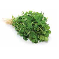 Fresh Fenugreek Leaf