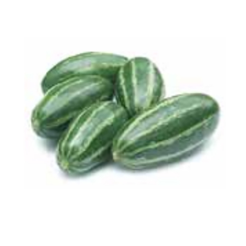 Elongated Pointed Gourd Vegetables
