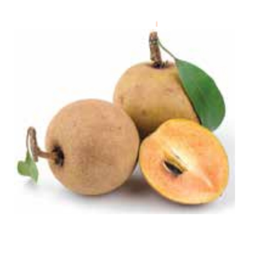 Brown Chickoo Fruit