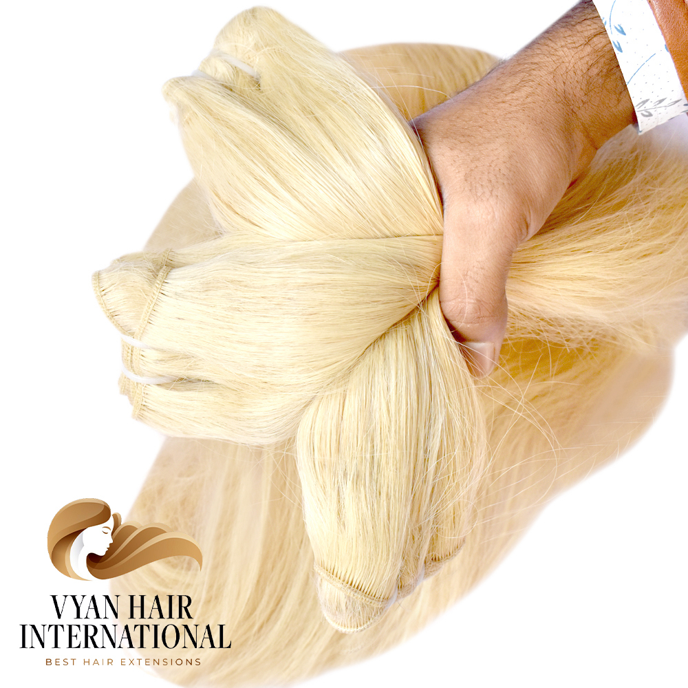 613 Wholesale Double Drawn European Russian Human Hair