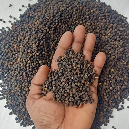 Black Pepper - Edible Quality Hot & Spicy Flavor | Solid Raw Black Pieces Store in a Dry Place