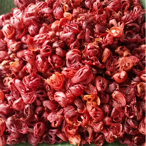 Red Full Mace Flower