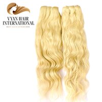 Raw Virgin Cuticle Aligned Blonde Human Hair Bundles