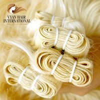 Raw Virgin Cuticle Aligned Blonde Human Hair Bundles